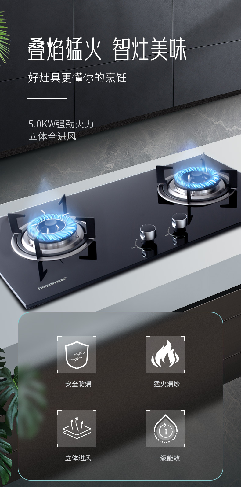 20220331/6245628e04208.jpg 灶具--HB206_01.jpg